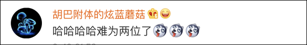 爆笑！遇上日本“靈魂翻譯”，身經(jīng)百戰(zhàn)的國乒高手都懵了